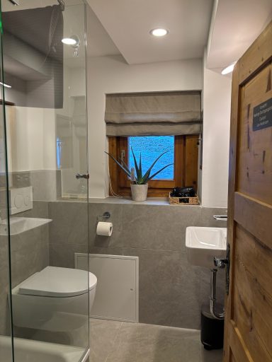 Modernes Badezimmer mit Glasdusche, Toilette und Fenster mit Blick auf Pflanzen.